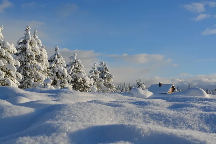 Best Ways to Travel in Latvia