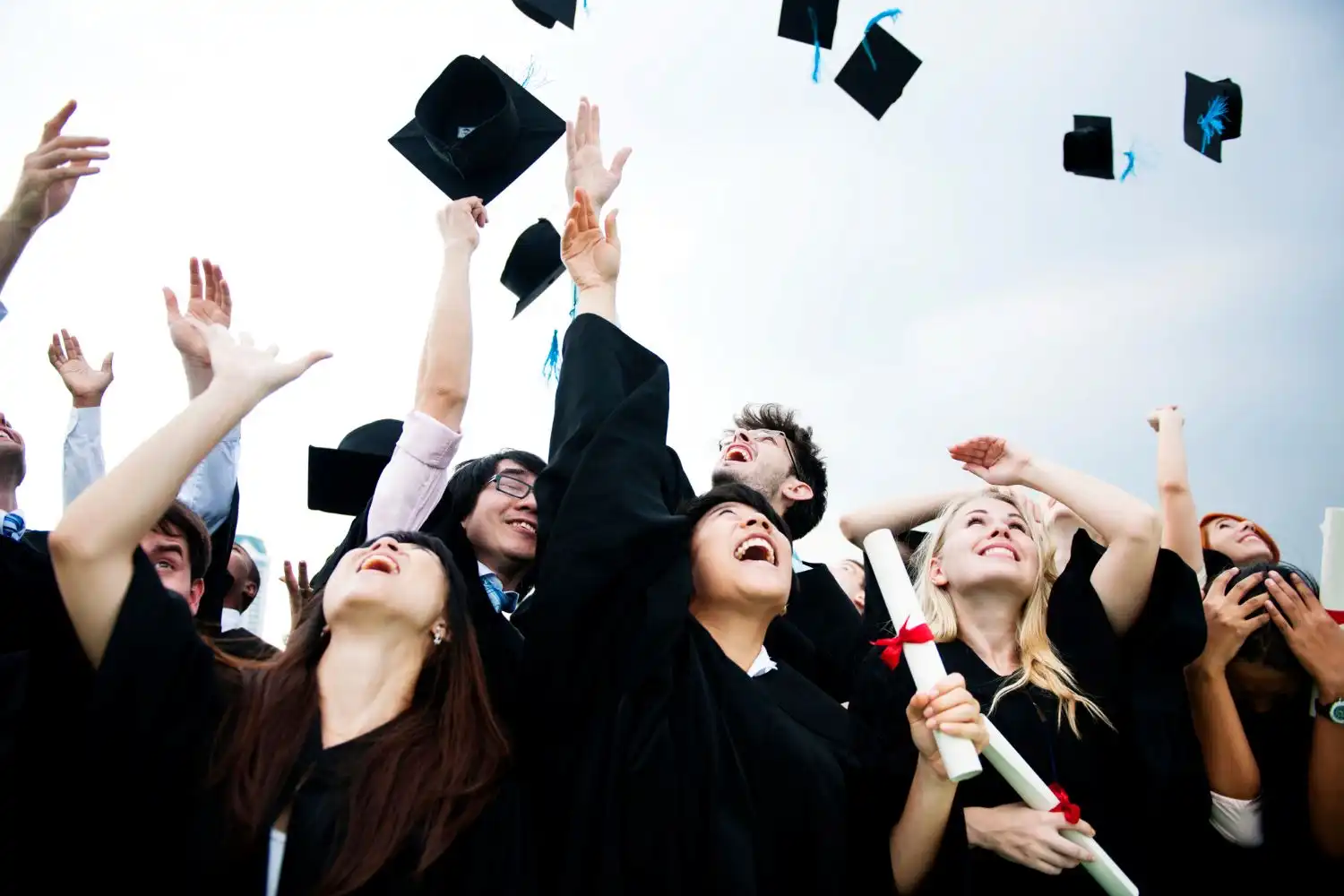 bachelors in Latvia
